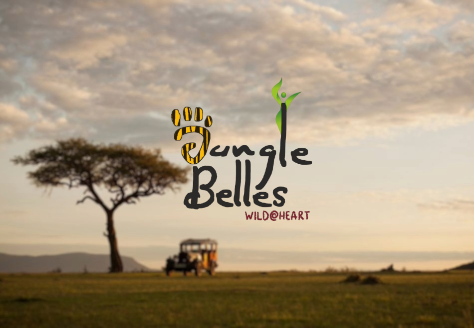 Jungle Belles case study preview
